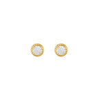 BROQUEL BISELADO CON ZIRCONIA