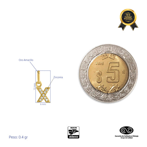 DIJE INICIAL X CON CADENA