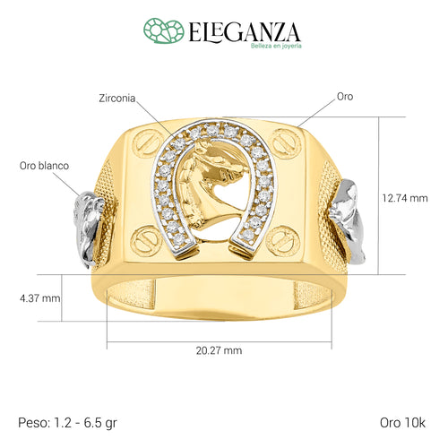 Anillo herradura caballo y tornillos