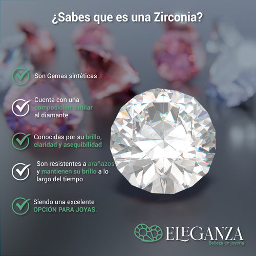 BROQUEL HONGO 2